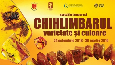 Expoziţia "Chihlimbarul, varietate şi culoare", vernisată la Complexul Muzeal de Ştiinţele Naturii Galaţi