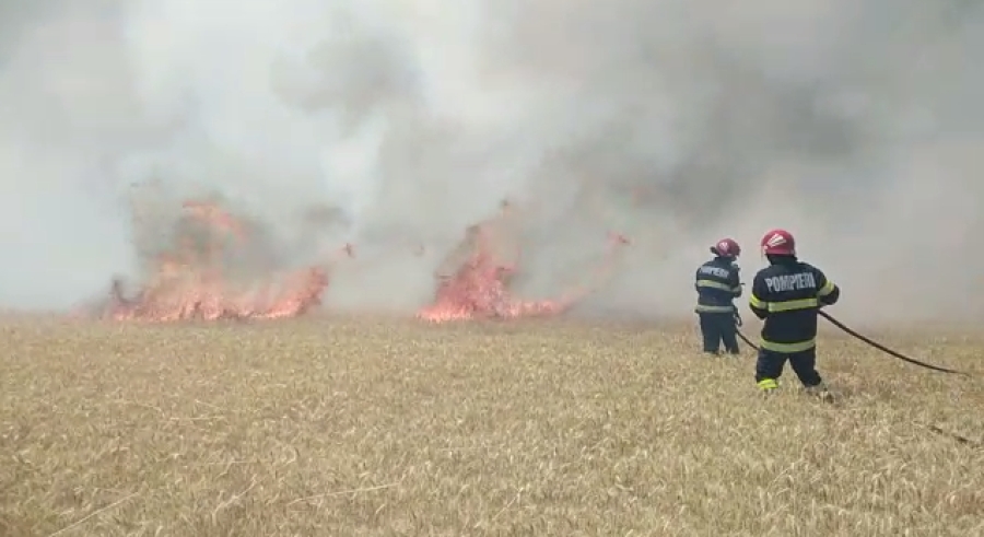 Incendiu devastator la Movileni (VIDEO)