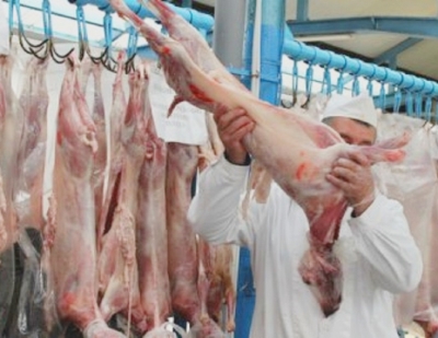 În judeţul Galaţi există un singur abator autorizat pentru sacrificarea ovinelor
