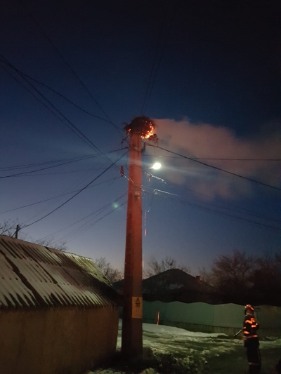 Tulcea: Un cuib de barză a luat foc de la un scurt circuit (FOTO)