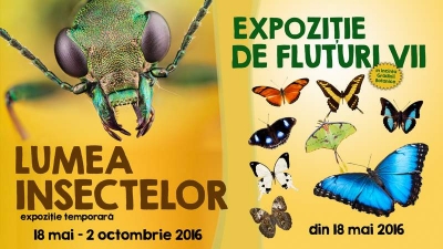 Expoziţie temporară despre lumea insectelor şi o expoziţie de fluturi vii