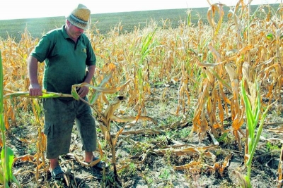 România are un an agricol chiar mai prost decât 2013
