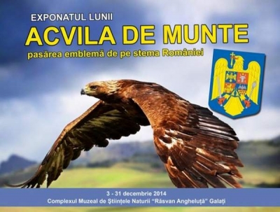 Pasărea emblemă de pe stema României, acvila, expusă la Galaţi