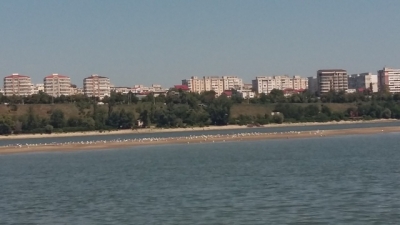 Seceta scoate insula din mijlocul Dunării la iveală şi întârzie bacul