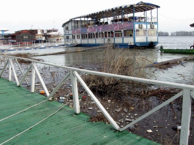 Poluare pe Dunăre cu PET-uri, resturi vegetale şi butoaie de hidrocarburi