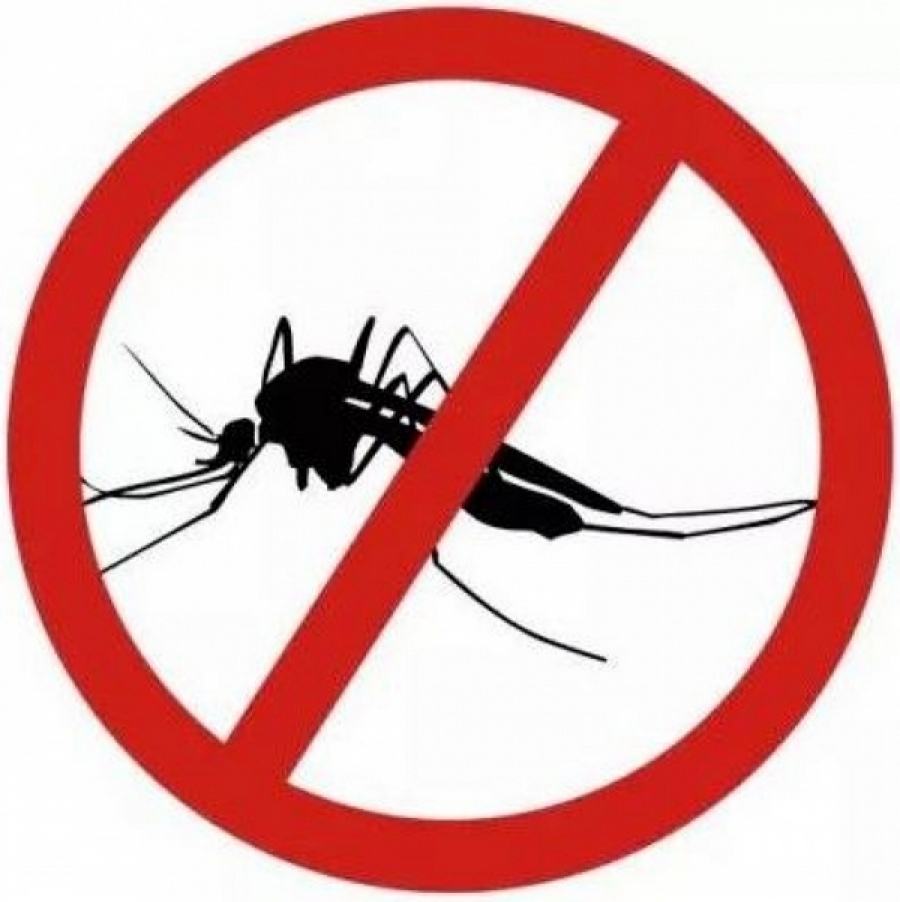 Primăria ATACĂ ţânţarii şi căpuşele: Oraşul intră în dezinsecţie!