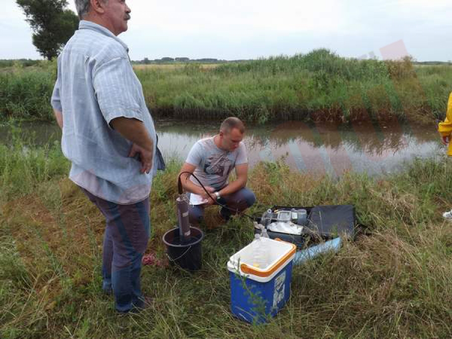 Peştii au murit din cauza lipsei de oxigen