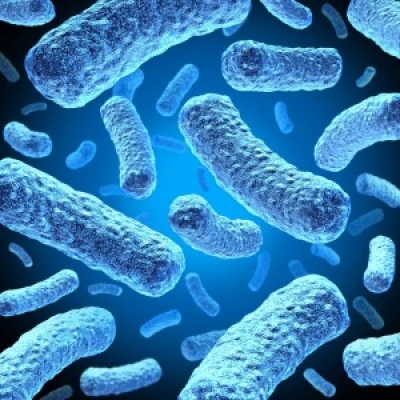 Microbiota intestinală poate afecta sănătatea psihică