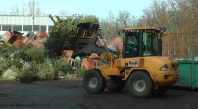 ECOSAL: Nu aruncaţi bradul ci reciclaţi-l şi protejaţi mediul înconjurător!