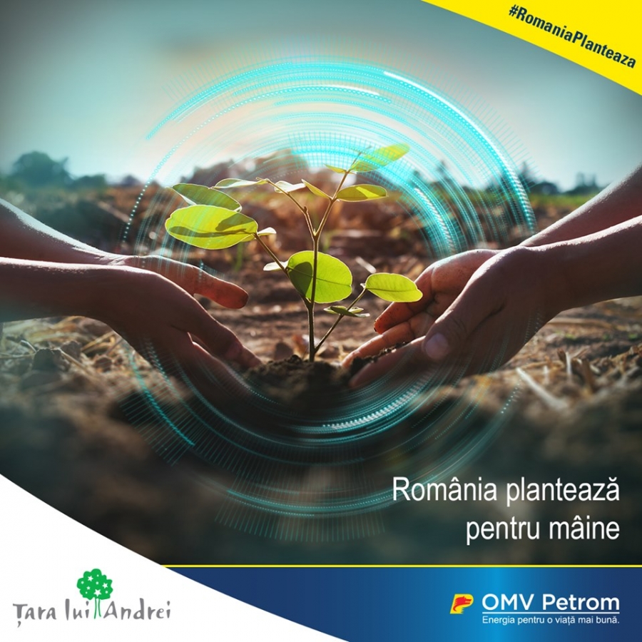 România plantează pentru mâine! OMV Petrom plantează 70.000 de copaci în luna noiembrie