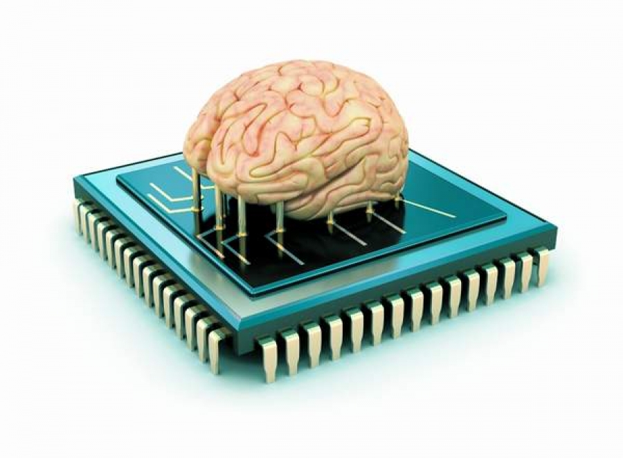Cum să construieşti un creier uman