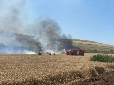 24 hectare de grâu şi 6 hectare de vegetaţie uscată au ars de la scânteia unui utilaj agricol (VIDEO)