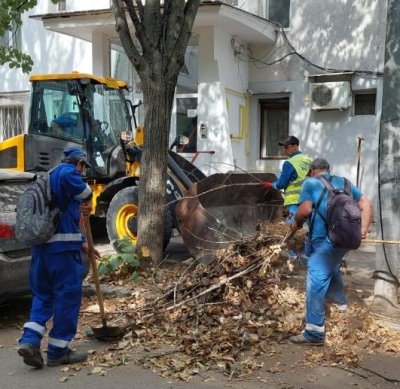 Aţi făcut curăţenia de toamnă prin curte şi nu ştiţi ce să faceţi cu deşeurile vegetale? SP Ecosal le ridică gratuit!