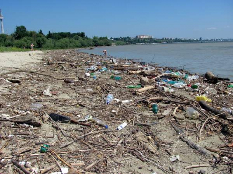 Plaja, groapă de gunoi