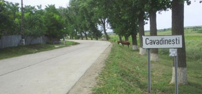 Dispărut de acasă, găsit mort pe câmp