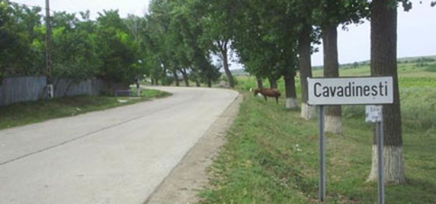 Dispărut de acasă, găsit mort pe câmp