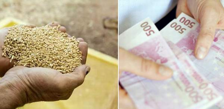 Specialişti agricoli condamnaţi pentru implicare în utilizarea ilegală a subvenţiilor