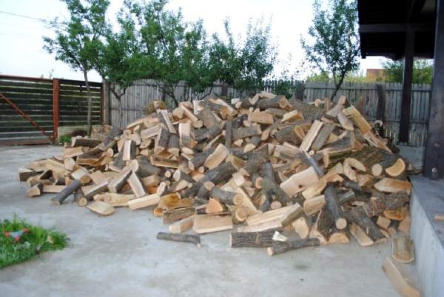 Primăria primeşte cereri pentru lemne de foc
