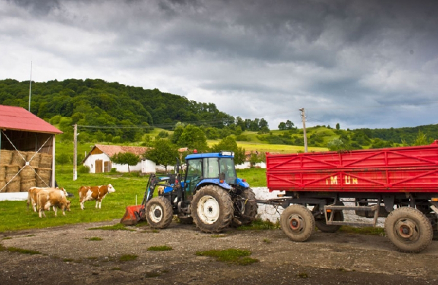 Fermierii care deţin între 5 şi 30 de hectare vor primi din 2015 un sprijin mai mare pe suprafaţă