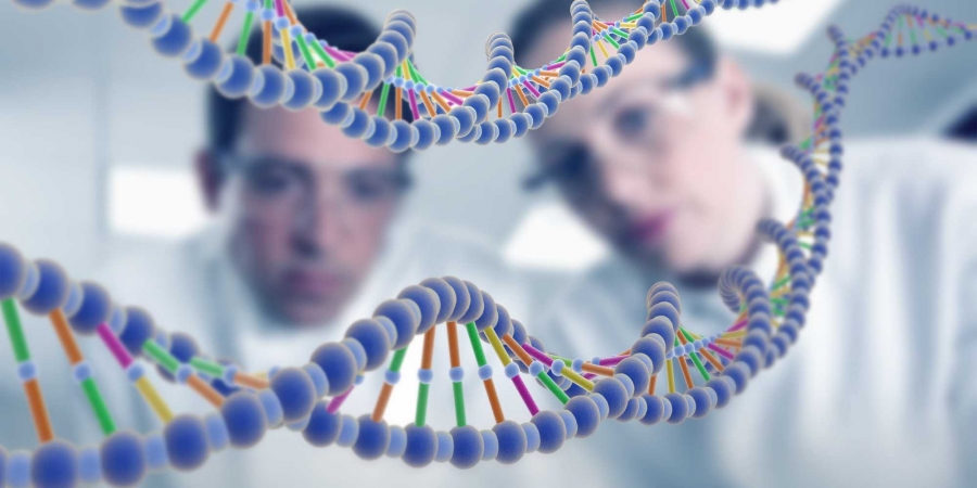 Oamenii de ştiinţă au creat primul ''embrion'' artificial de şoarece folosind celule stem