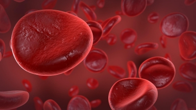 Imunoterapia, o speranţă împotriva leucemiei