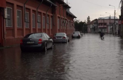 Ploaia torenţială a inundat 9 străzi, un subsol şi a doborât 2 copaci