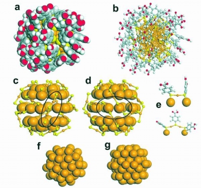 Nanoparticule din aur pentru diagnosticare