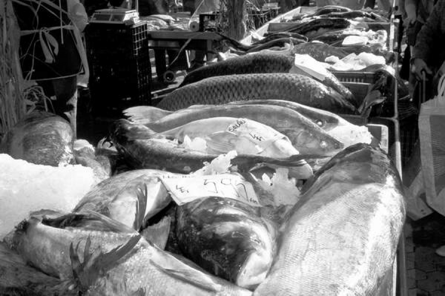 România, principala piaţa pentru pescuitul bulgăresc