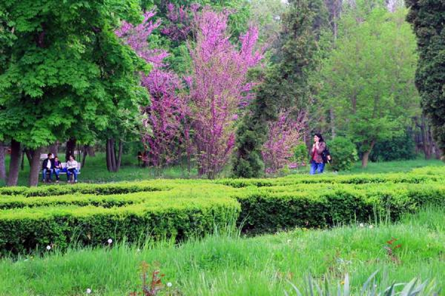 Parcul Rizer şi Grădina publică vor fi modernizate