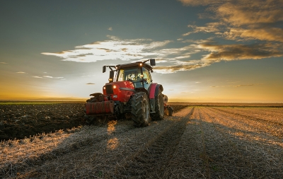 Serviciile agricole au contribuit cu 2% la valoarea producţiei ramurii agricole la nivel naţional, în 2019