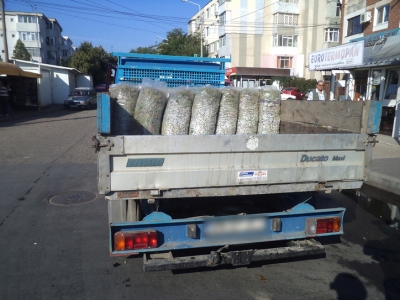 Poliţia Locală vrea comerţul stradal eradicat