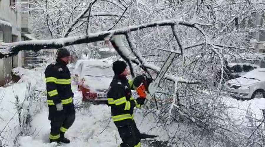 Încă un copac a căzut peste maşini, pe str. Oltului, în municipiul Galaţi