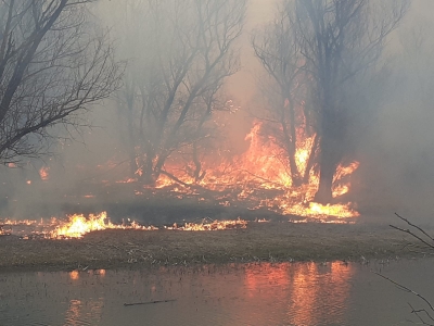 Galaţi: 20 de incendii de vegetaţie, în ultimele 24 de ore