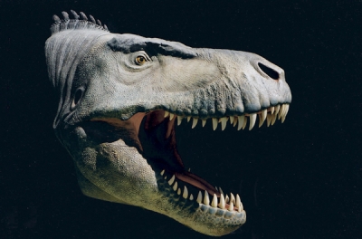 Un nou studiu susţine ipoteza că dinozaurii aveau sângele cald