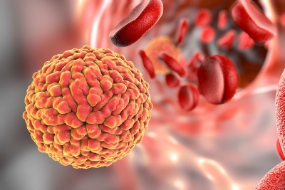 Niciun vaccin împotriva virusului Zika până în 2020