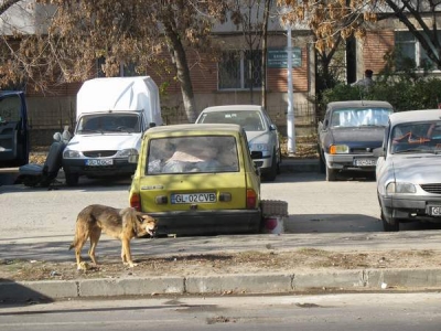 Om al străzii bătut în maşina în care locuieşte