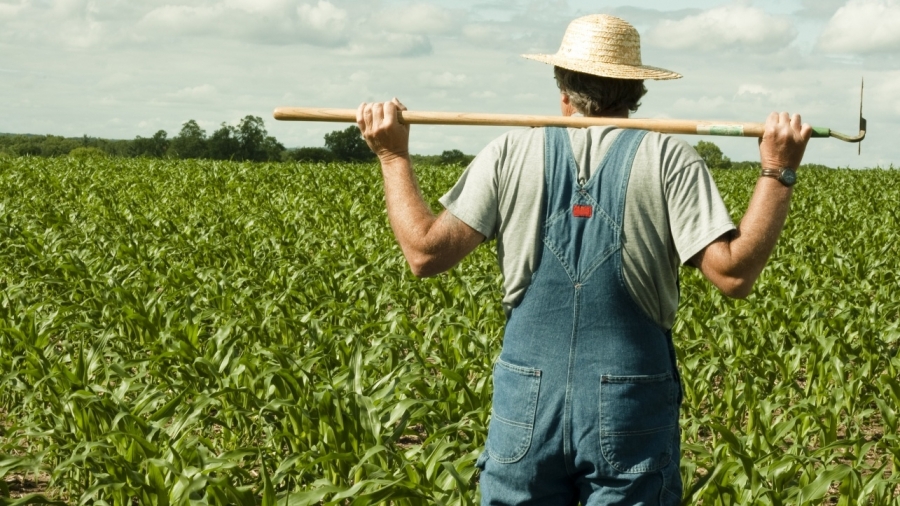 Fermierii vor primi un avans de 70% din subvenţiile pe suprafaţă, începând din 16 octombrie