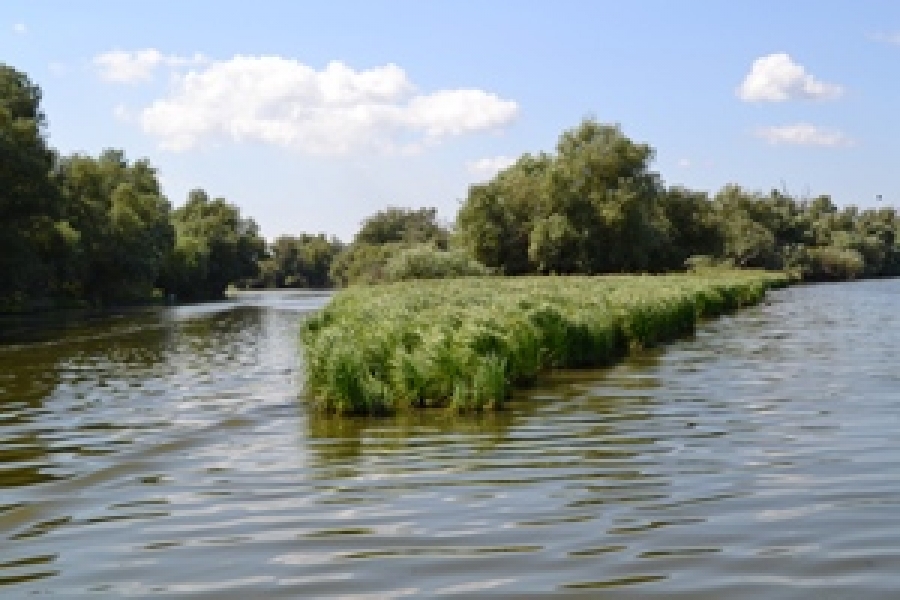 Debitul Dunării creşte până la 5.400 mc/s în următoarele zile