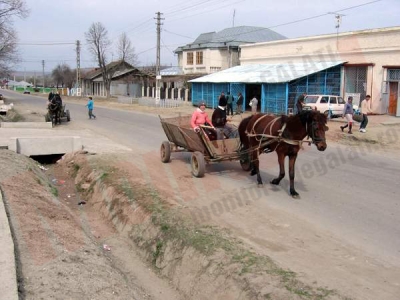 Bătăi crunte până la moarte, accidente, tăiaţi cu drujba şi intoxicaţi