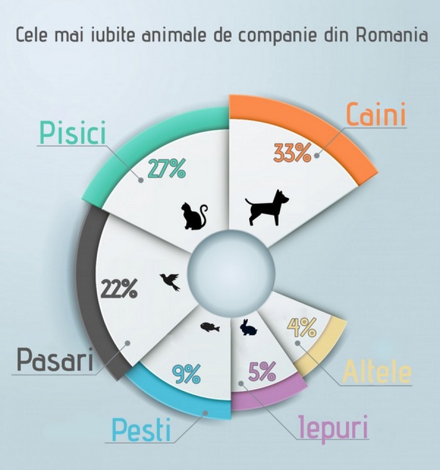 Care sunt cele mai iubite animale de companie din România