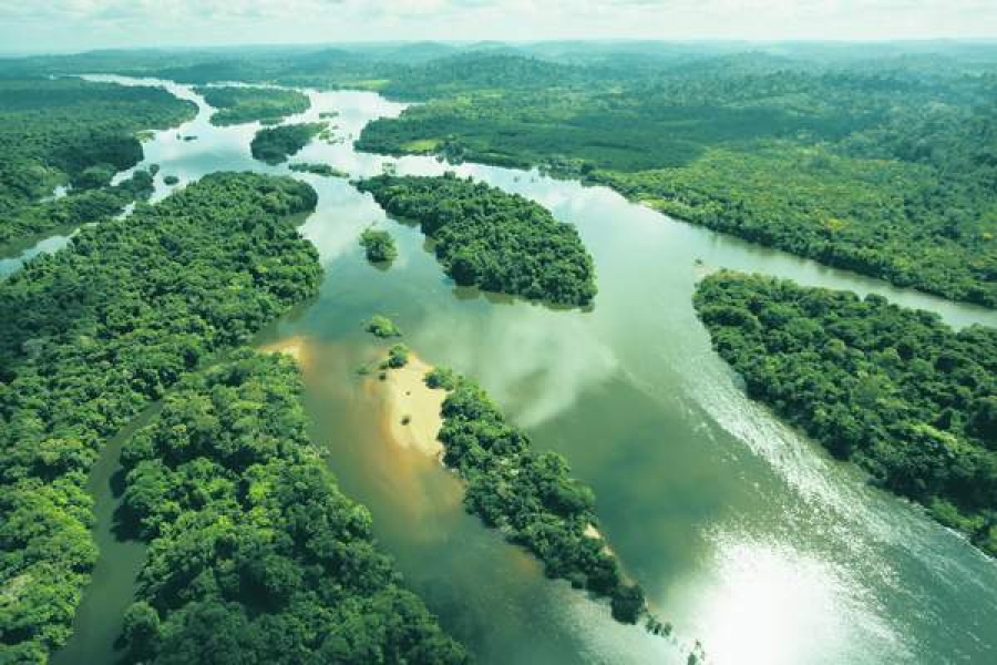 Apocalipsa va veni din Amazonia?