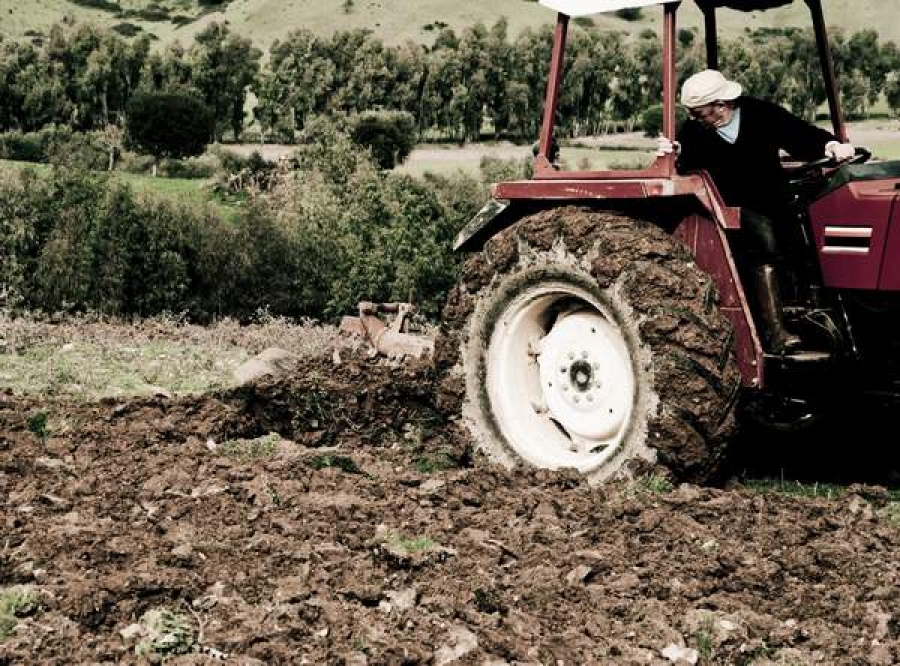 Fermierii gălăţeni, deschişi spre comasarea terenurilor mici