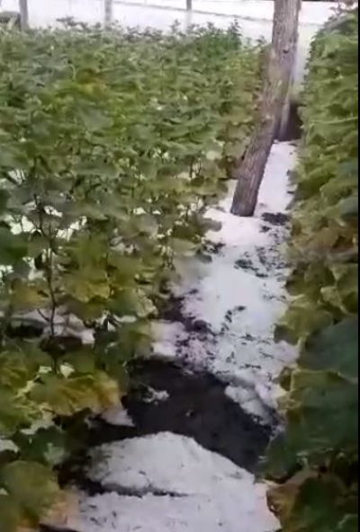 VIDEO I Grindina şi ploaia torenţială au adus numai necazuri în zona rurală a judeţului Galaţi
