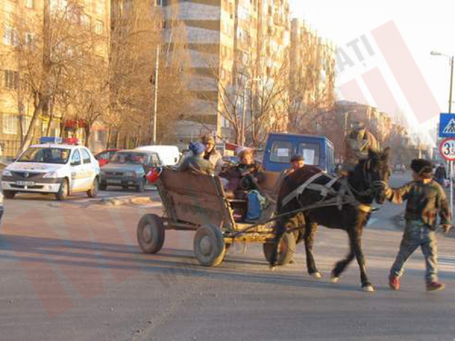 Cãruþele „zburdã” încã nestingherite prin oraº