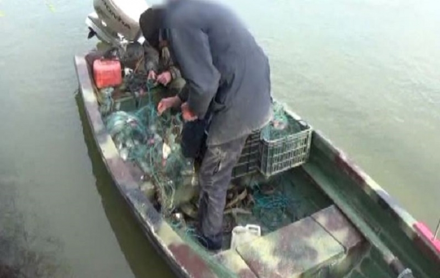 VIDEO | Jandarmii brăileni, la "pescuit" braconieri