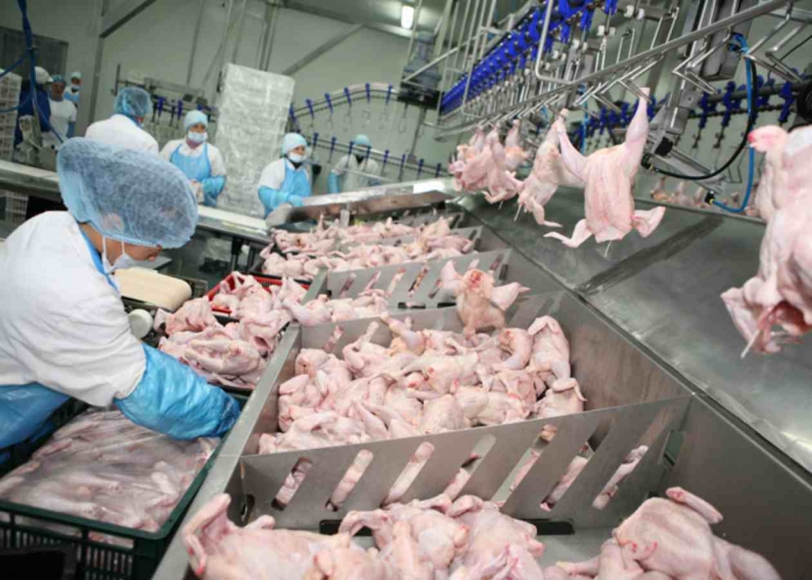 ANSVSA a retras de la comercializare carne de pasăre provenită de la fermele din Ungaria unde există gripă aviară