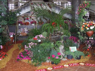 Vernisaj „EXPO FLORA – Flori la malul Dunării”, ediţia a XX-a