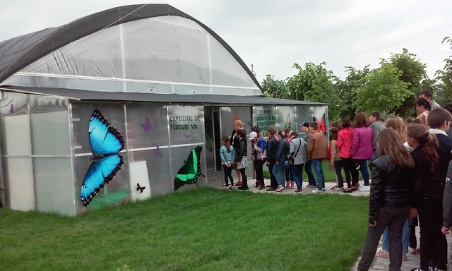 Expoziţie vie la Complexul Muzeal de Ştiinţe ale Naturii