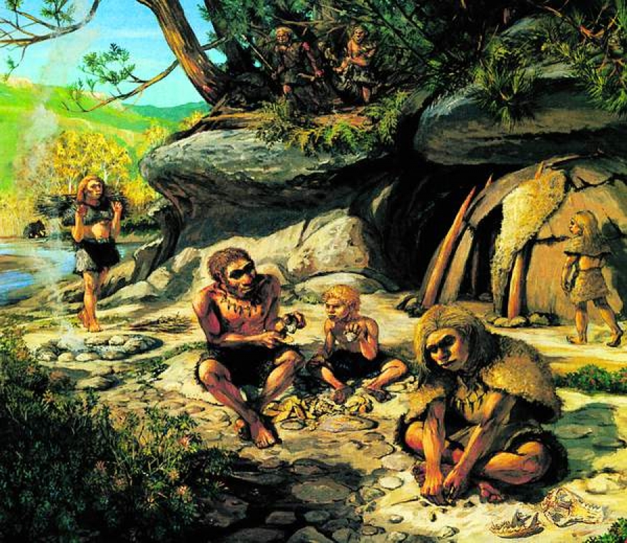 Şi Totuşi De Ce A Dispărut Omul Din Neanderthal 6834