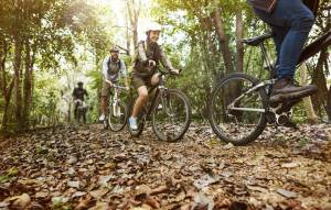 group-friends-ride-mountain-bike-forest-together_original